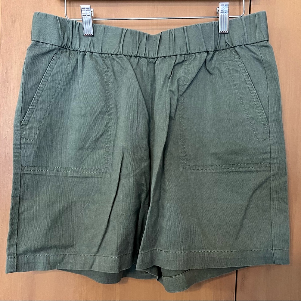 Talbots sage green shorts, medium